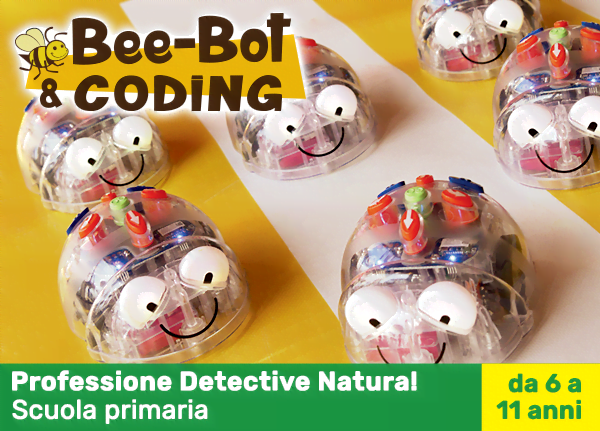 bee bot coding