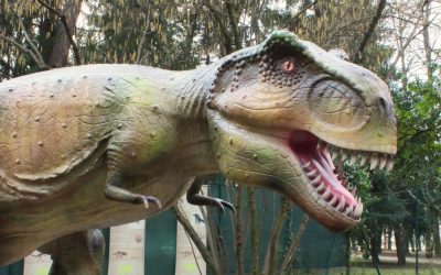 Al Parco degli Alberi Parlanti riapre “Draghi, Dinosauri e Animali Estinti”!